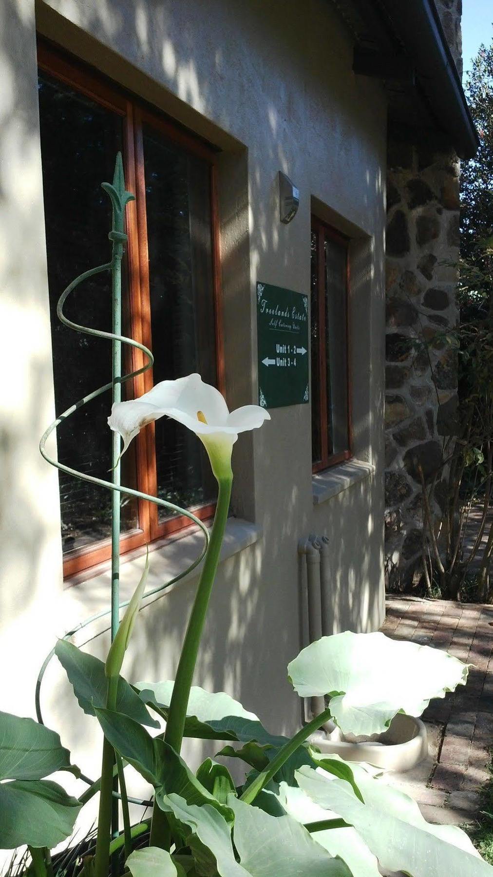 Treelands Estate Dullstroom Extérieur photo